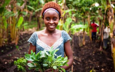 Empowering Communities Through Digital Skills Training